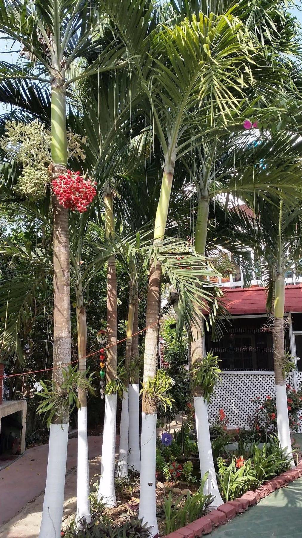 San Andres Ultd Inn Rnt # 30017 Экстерьер фото