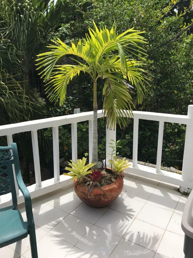 San Andres Ultd Inn Rnt # 30017 Экстерьер фото